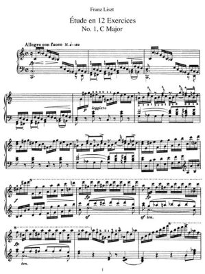 con fuoco music meaning: The expressive power of con fuoco in musical compositions transcends mere instrumentation; it encapsulates the emotional and narrative depth that music seeks to convey.